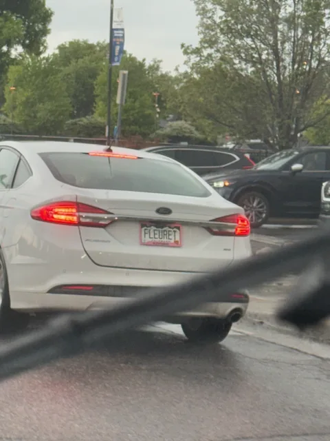 License plate