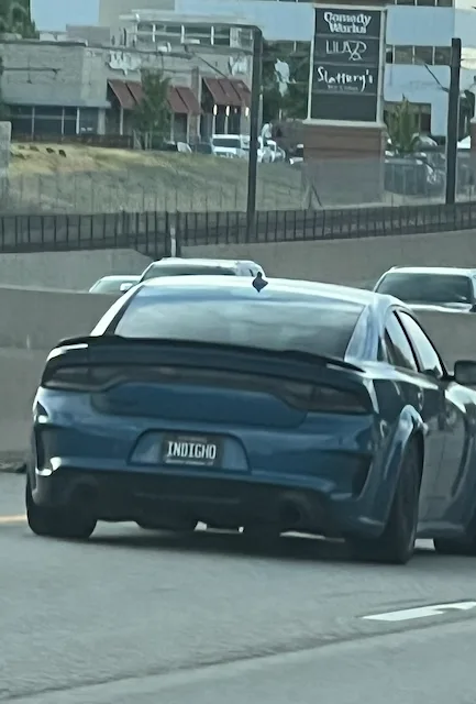 License plate