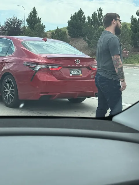 License plate