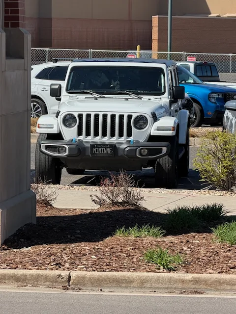License plate