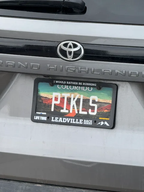 License plate