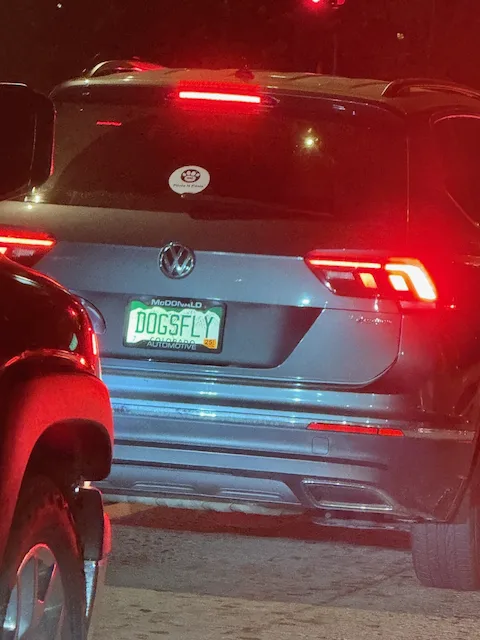 License plate