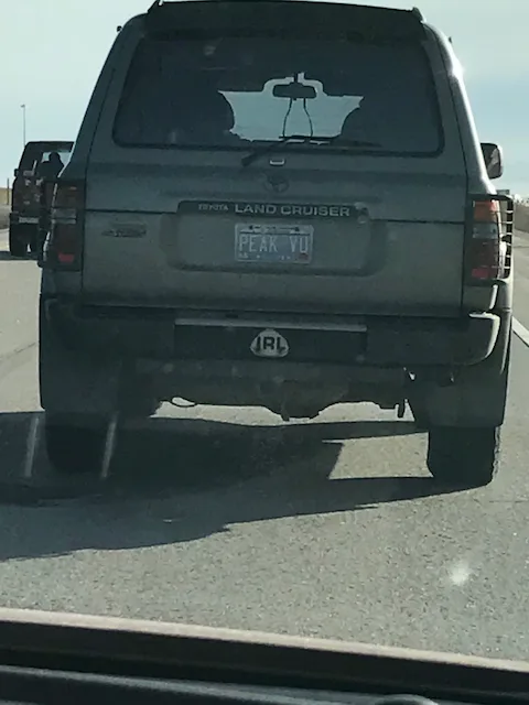 License plate