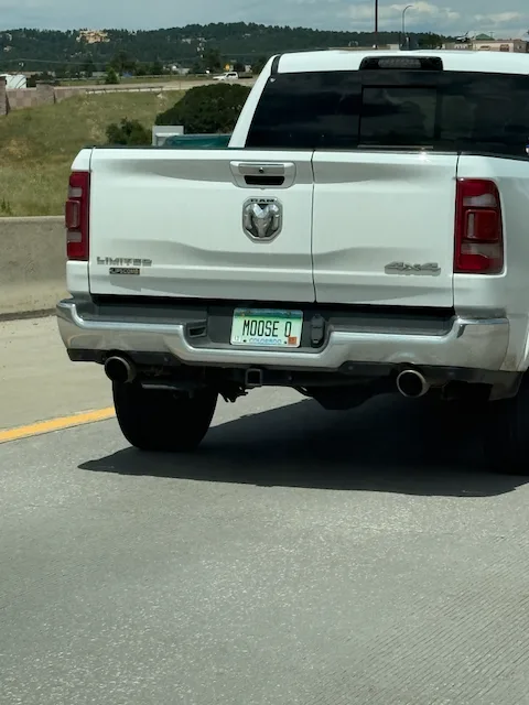 License plate