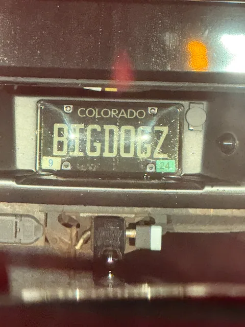 BIGDOGZ — CO