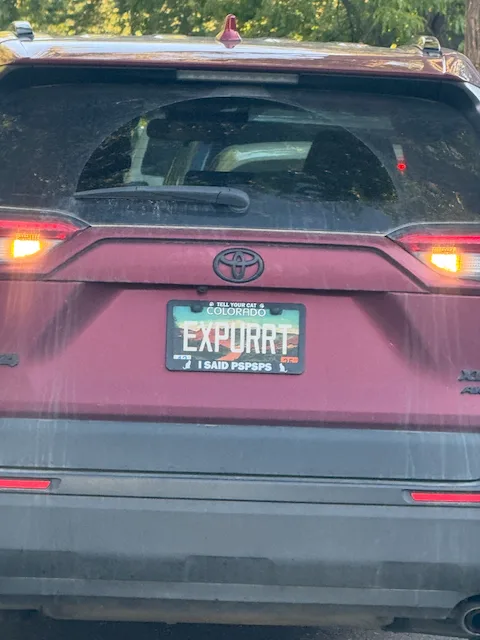 License plate