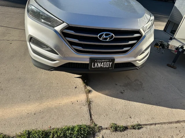 License plate