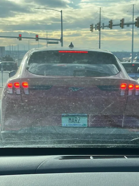 License plate