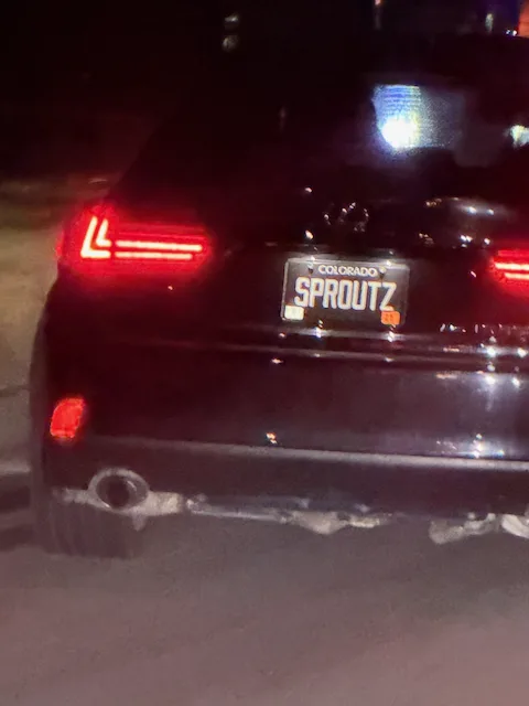 License plate
