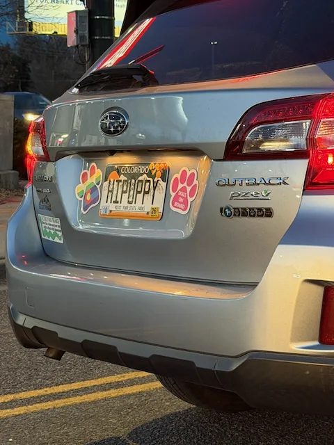 License plate