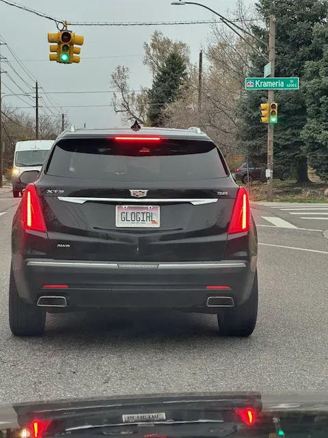 License plate