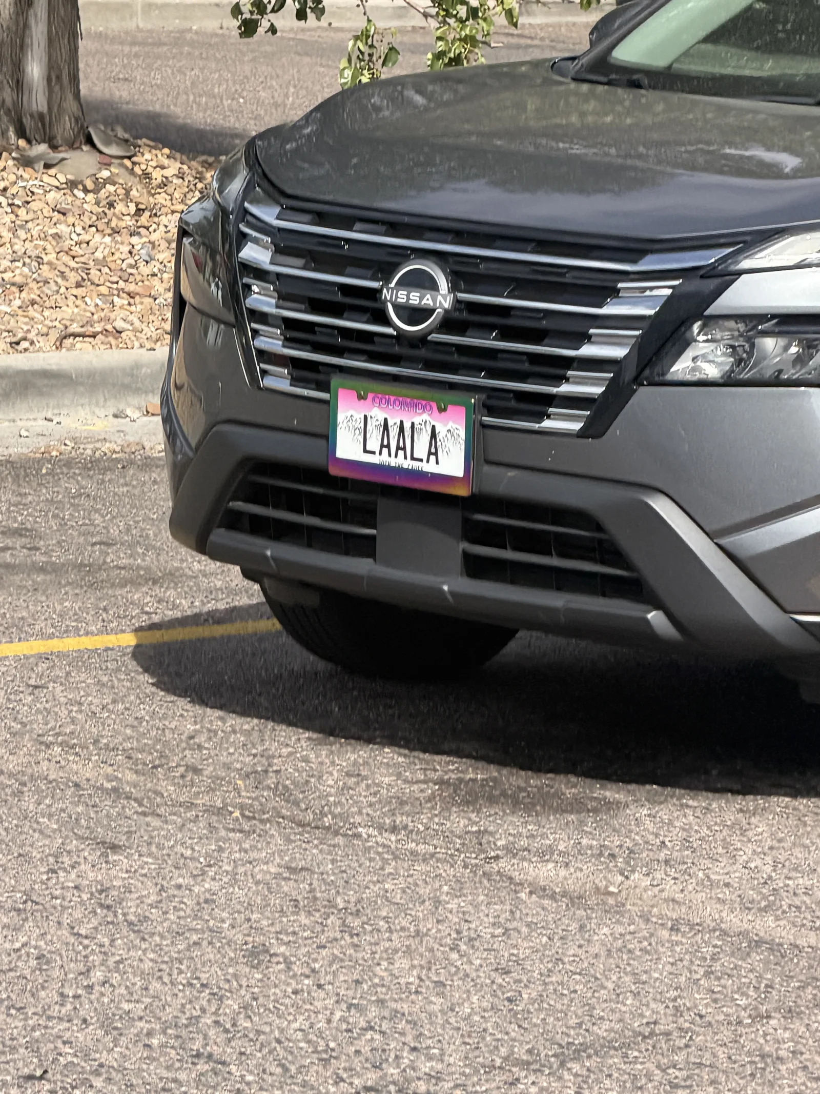 LAALA — CO