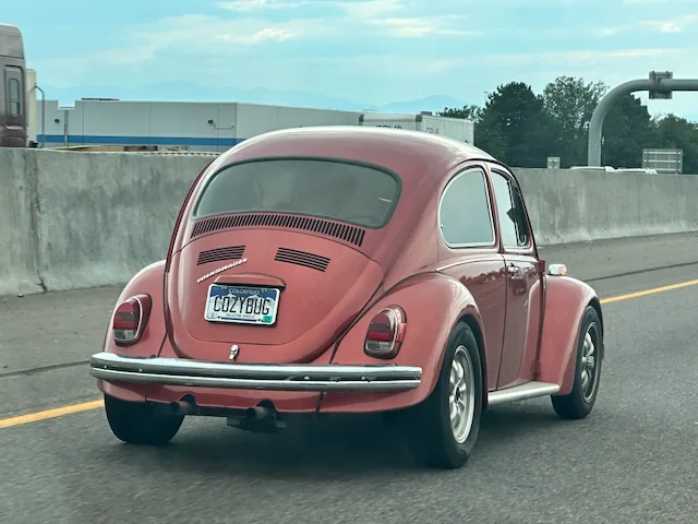 License plate