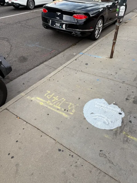 License plate