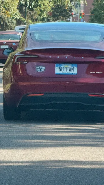 License plate