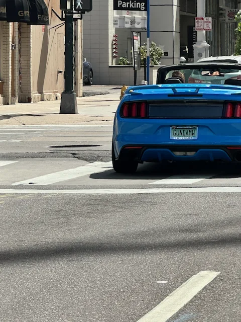 License plate