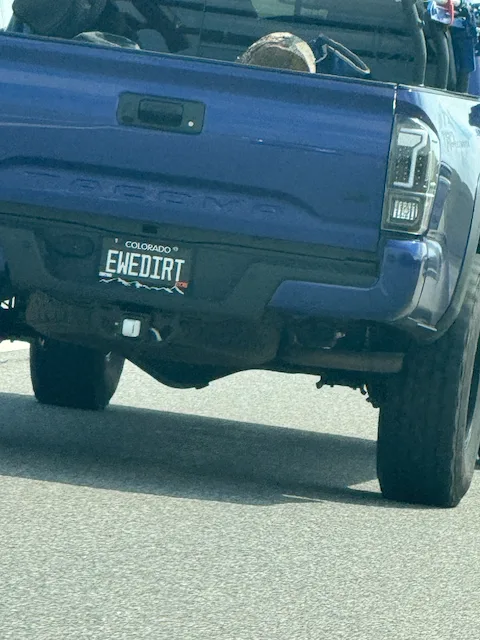 License plate