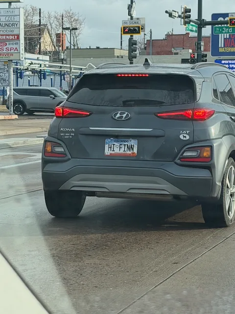 License plate