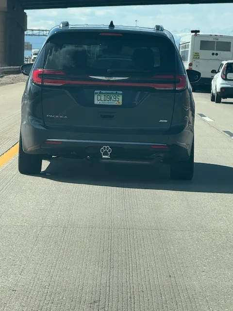 License plate