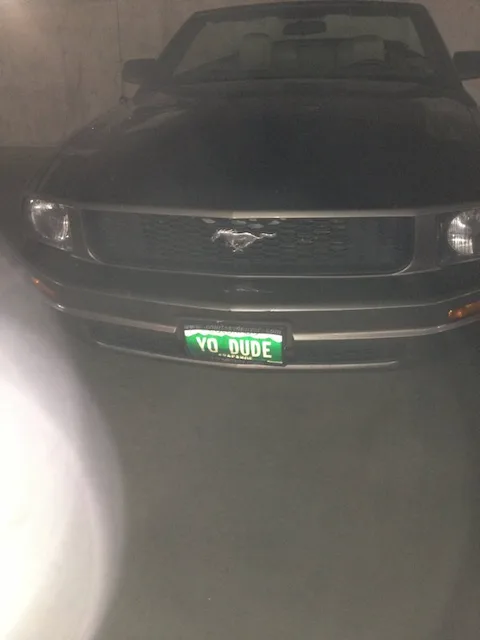 License plate