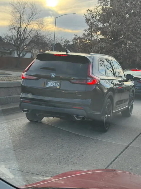 License plate