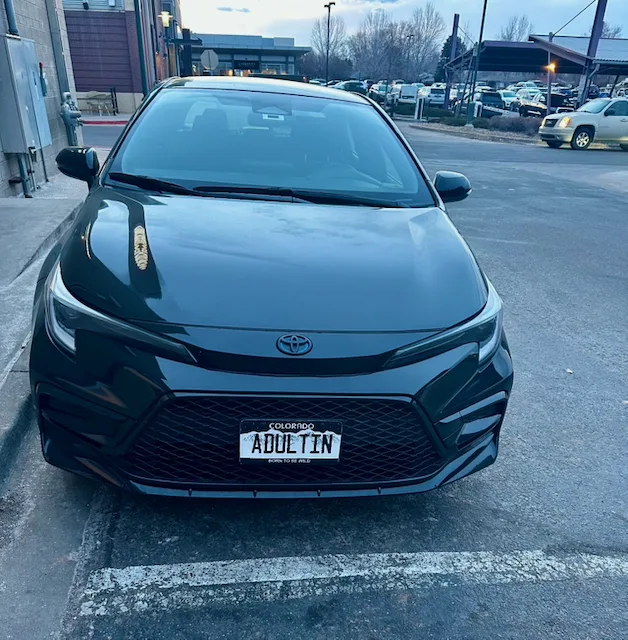 License plate