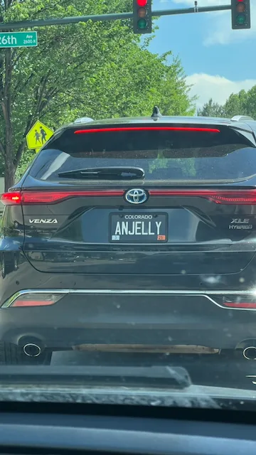 License plate