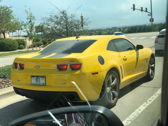License plate