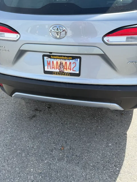 License plate