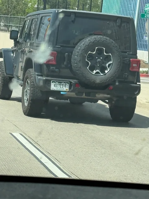 License plate