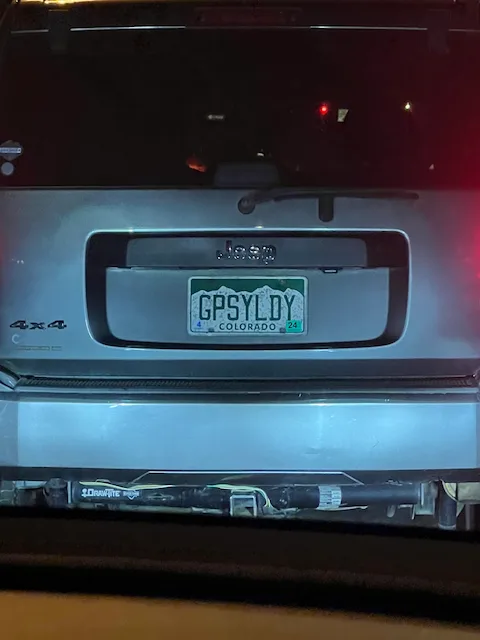 GPSYLDY — CO