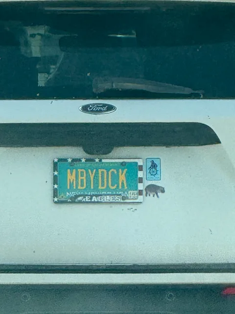 License plate