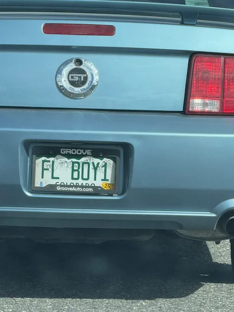 License plate