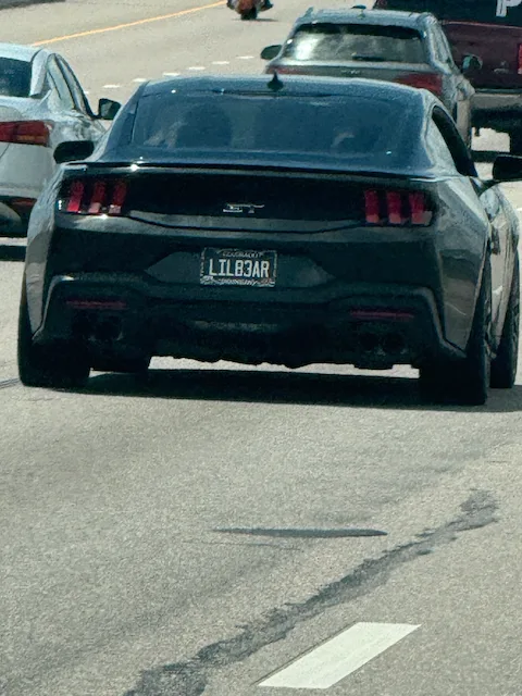 License plate