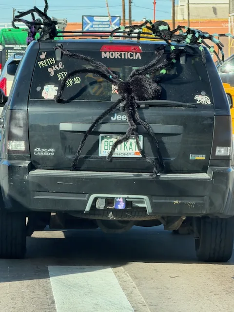 License plate