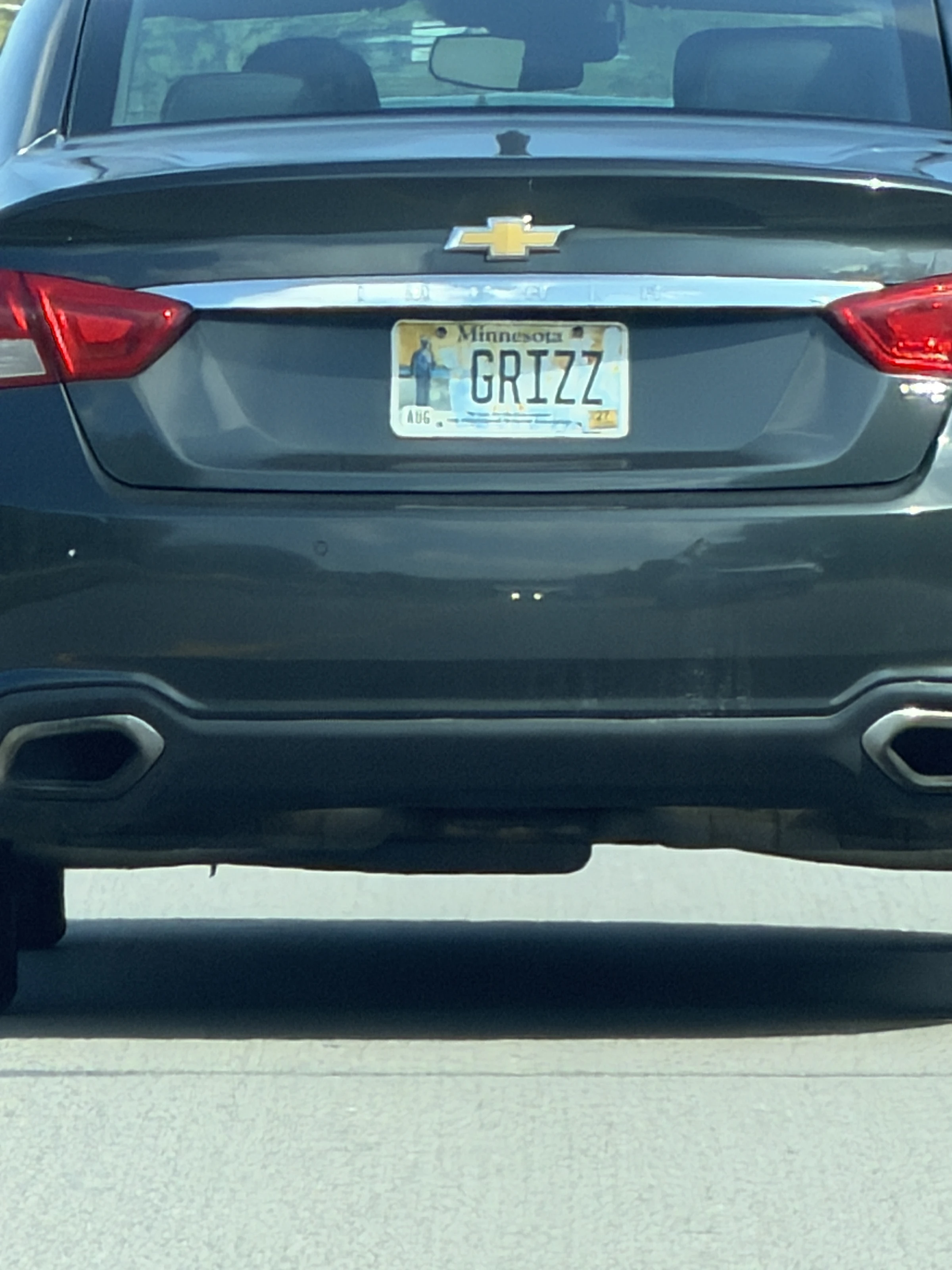 GRIZZ — MINNESOTA