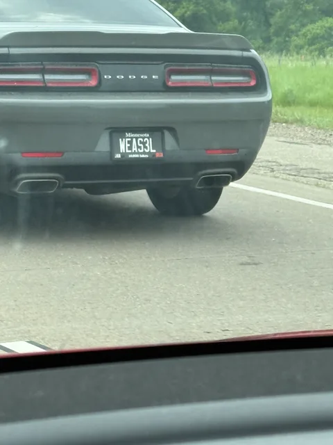 License plate