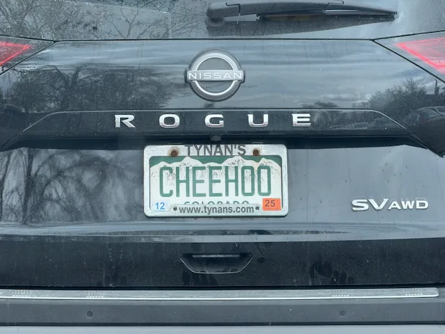 License plate