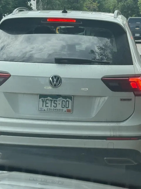 License plate
