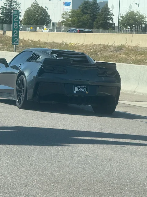 License plate