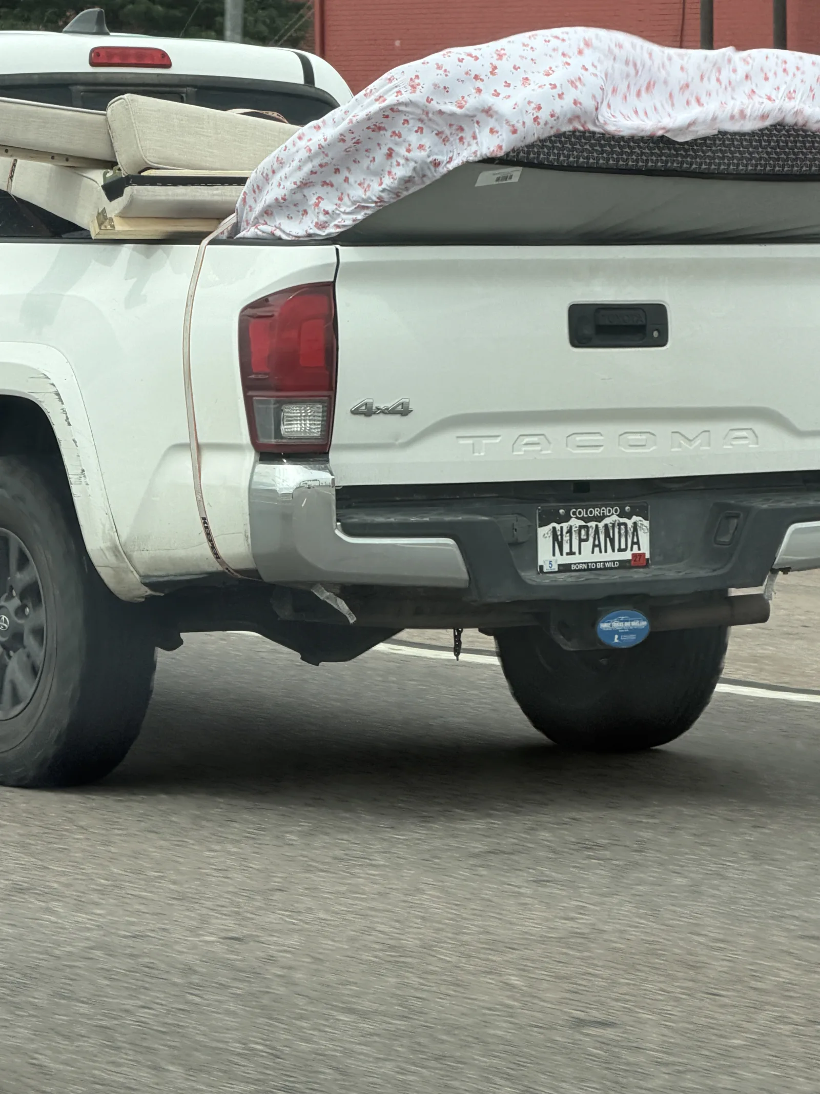 N1PANDA — COLORADO