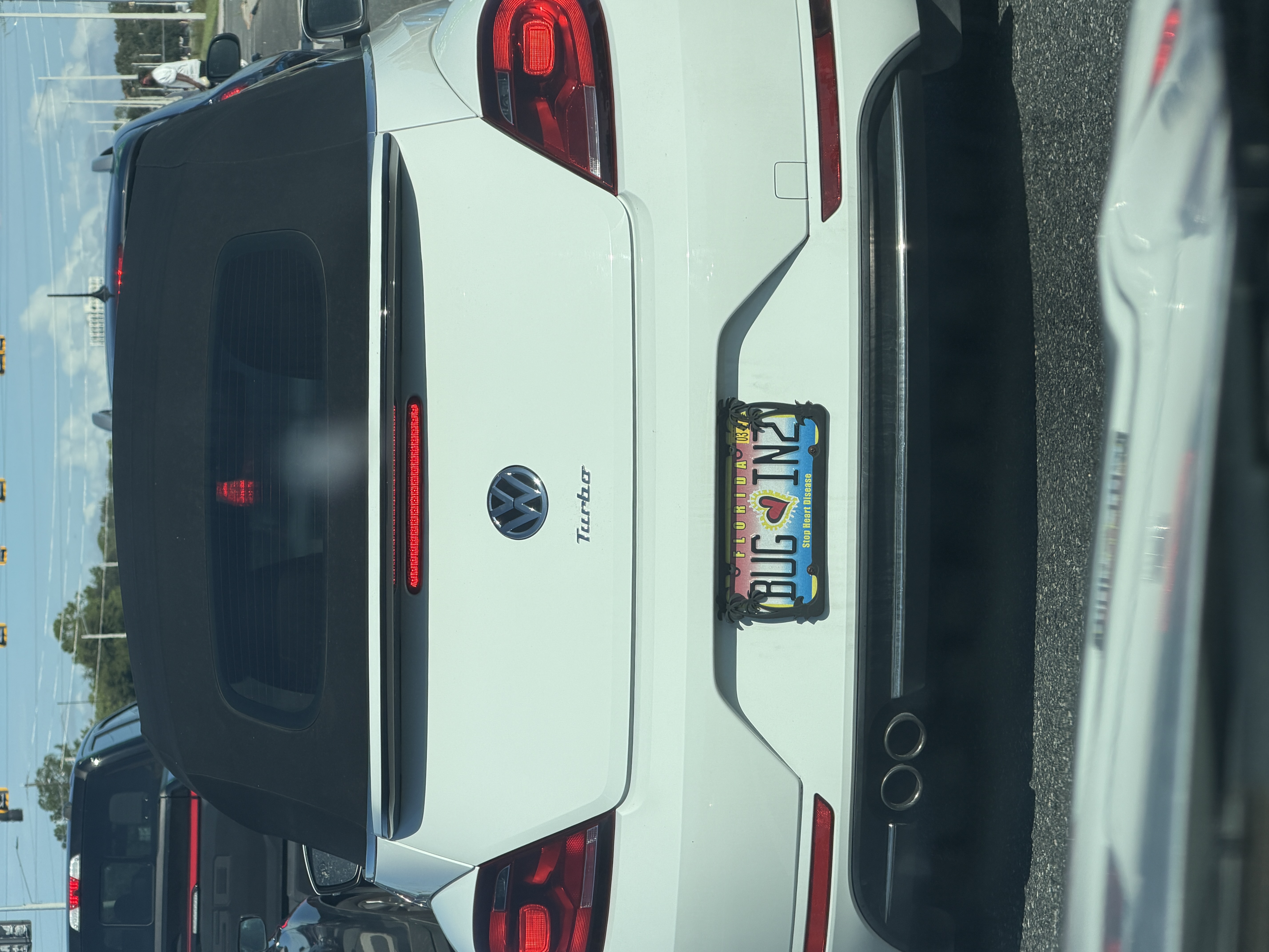 BUG IN2 — FL