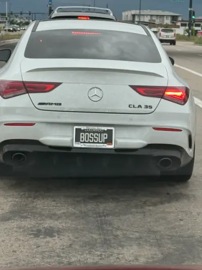 License plate