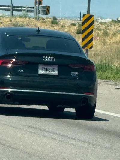 License plate
