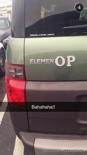 License plate