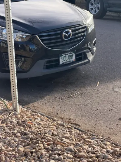 License plate