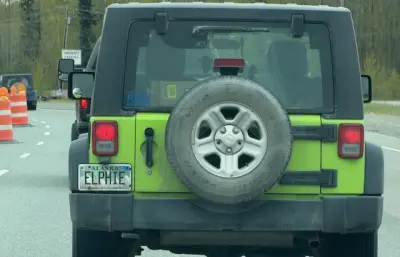 License plate
