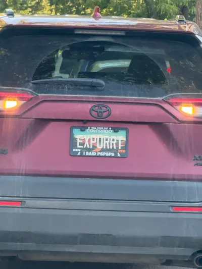 License plate