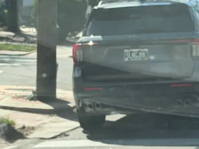 License plate