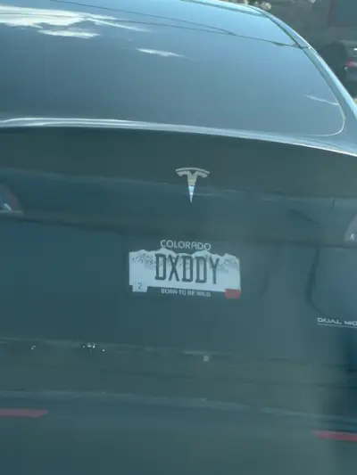 License plate